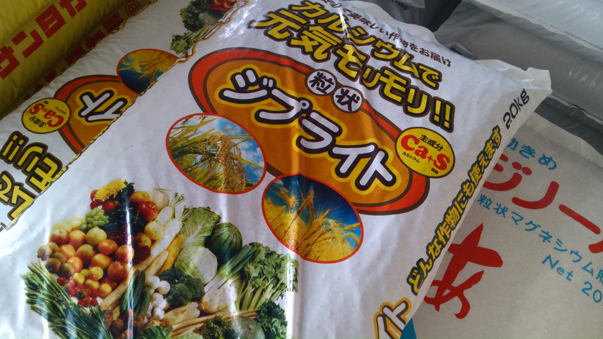 元気もりもり