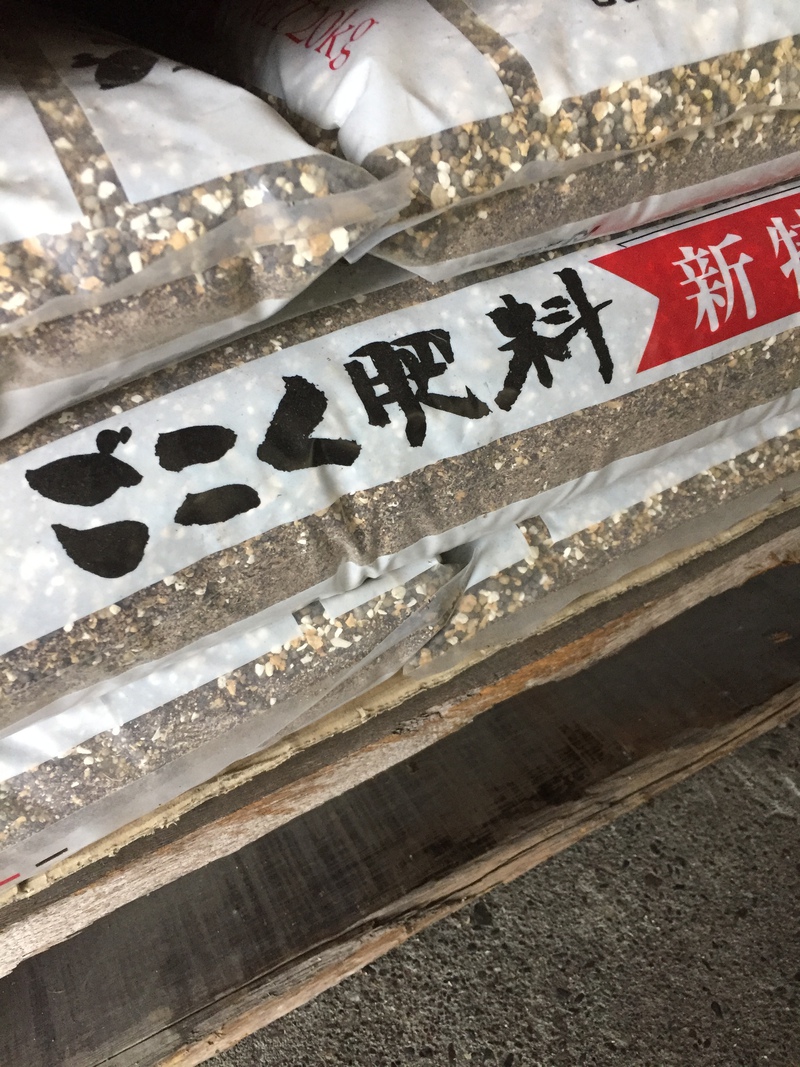 とうさん。