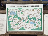 楽しい〜！