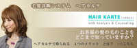 ヘアカルテの活用 2010/10/26 16:56:24