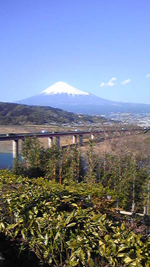 昨日の富士山