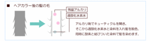 バッファーｅトリートメントプラス