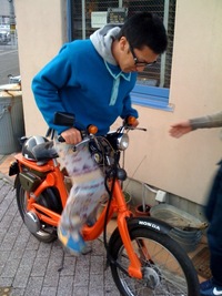 リトルホンダ買っちゃった。。。 2009/12/14 00:02:00