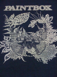 PAINTBOX T-shirt 2009/10/30 00:01:00