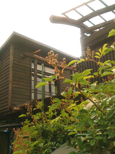 夢の小屋作ってます！！その43