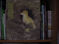 絵本「ごんぎつね」を読んで 2008/09/07 09:07:15