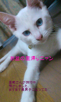 残暑お見舞い申し上げます＾＾