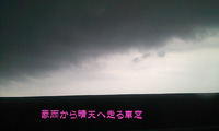 残暑お見舞い申し上げます＾＾