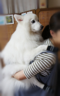 追記♪