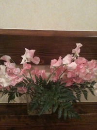 風華　「スイートピー」。。。 2012/02/05 15:03:22