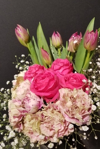 花は愛を贈り　緑は心をいやす 2019/01/26 19:21:10