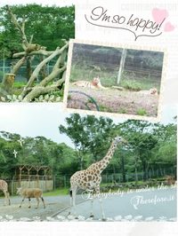 サファリ＆御殿場Pアウトレット