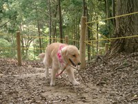 里山公園
