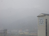 12月7日は雪が・・降りました。 2012/12/09 08:30:00
