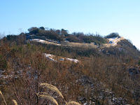 12月9日＜裏山＞雪の足跡の検証① 2012/12/10 08:30:00