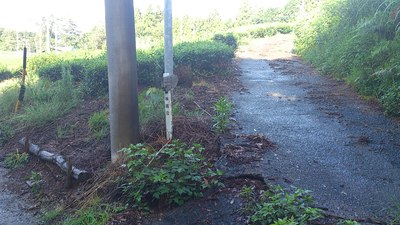 ツーリング報告（ノリさんセロー納車記念林道ツー）