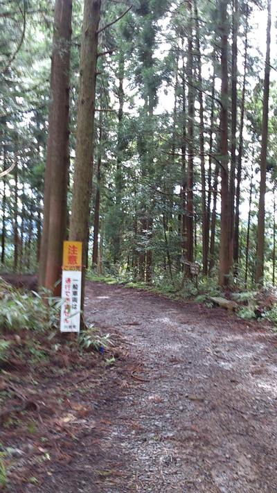 ツーリング報告（ノリさんセロー納車記念林道ツー）