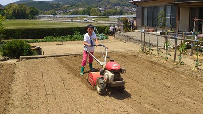 田植え