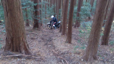 ノリさんと行く林道ツーリング