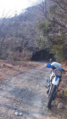 ポンコツセローの乗り心地