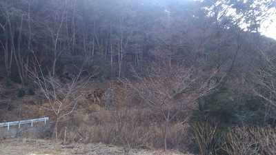 ポンコツセローの乗り心地