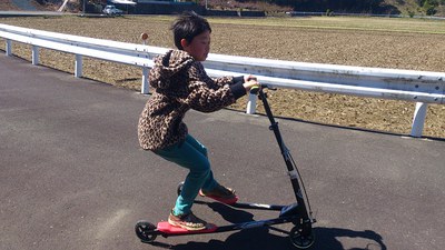 こんなのを買ってみた。