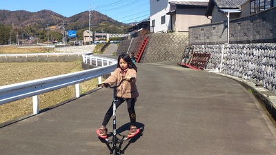 こんなのを買ってみた。