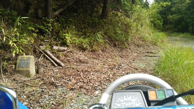 久しぶりに平日林道へ