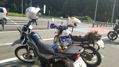 久しぶりに平日林道へ