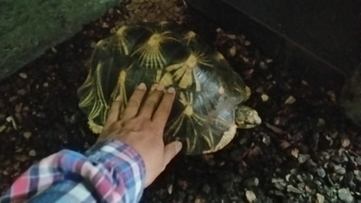 今週は子供と一緒に