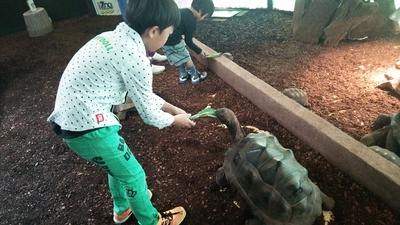 今週は子供と一緒に