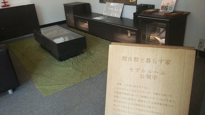 今週は子供と一緒に