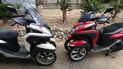 またまた増車