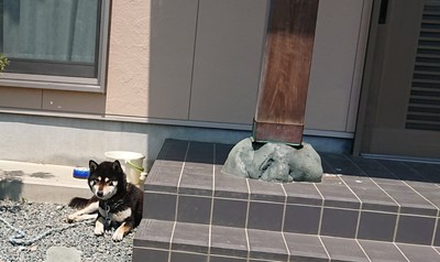 知らなかったぁ