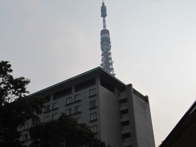 何を撮ったんだか？