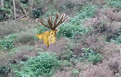 散歩中に