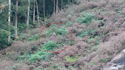 散歩中に