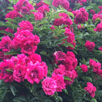 ７月３０日  １日コース♡ 2015/07/13 08:40:43