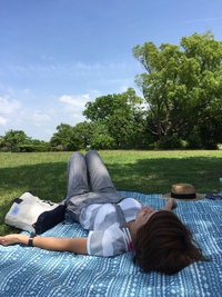 木からのメッセージ♡ 2016/06/01 09:09:51