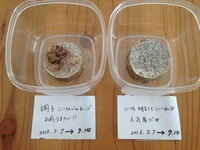 心の学びで陥る罠。 2016/09/21 07:57:04