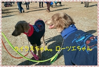ニコ市Market in 浜名湖ガーデンパーク❗ 2016/01/26 10:01:05