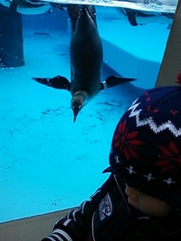 日本平動物園 2013/01/21 15:38:58