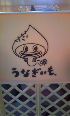 うなぎいも豊作です！？その②