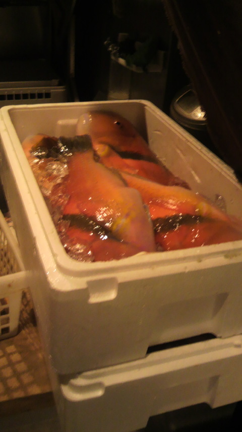 超新鮮舞阪直送とれたて鮮魚