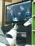 テレビみてる