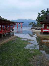 修学旅行