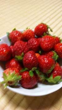 初物