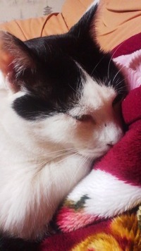 今日で11月も終わり 2011/11/30 14:23:38