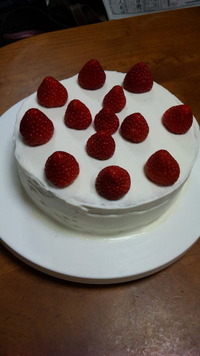 クリスマスケーキ 2011/12/25 20:37:50