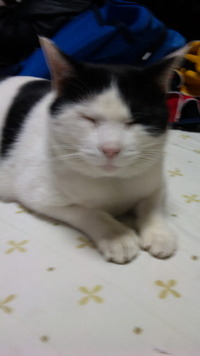 今は寝てるけど 2012/02/04 23:04:30